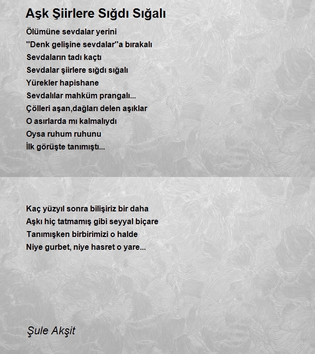 Şule Akşit