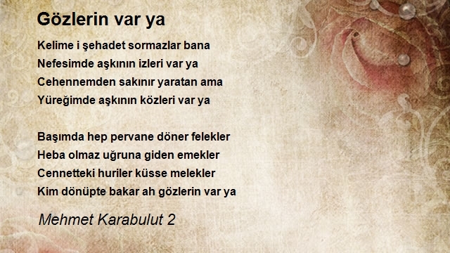 Mehmet Karabulut 2