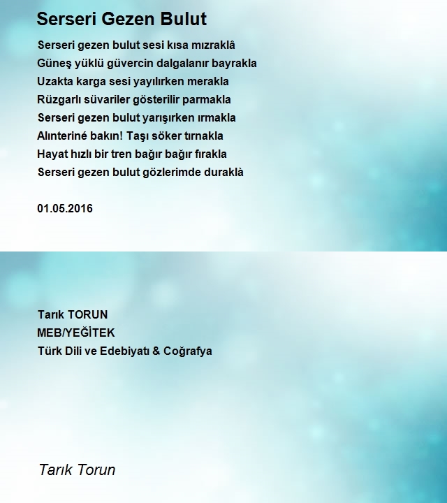 Tarık Torun