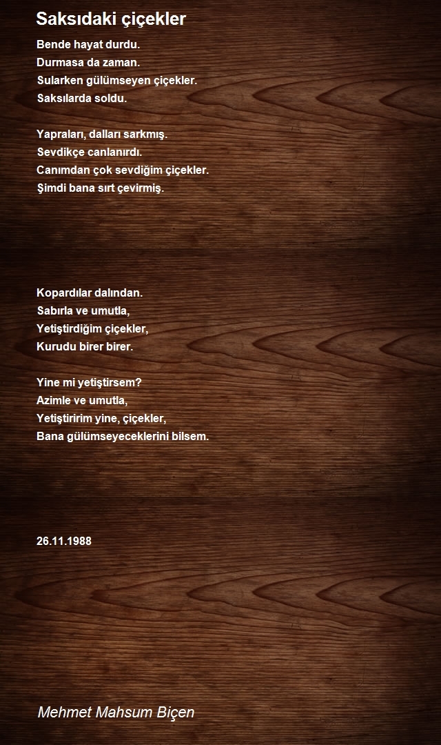 Mehmet Mahsum Biçen