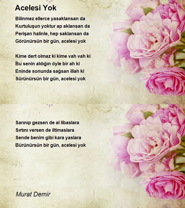 Murat Demir