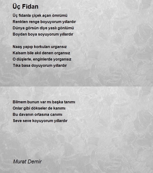 Murat Demir