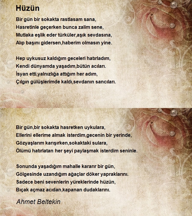 Ahmet Beltekin