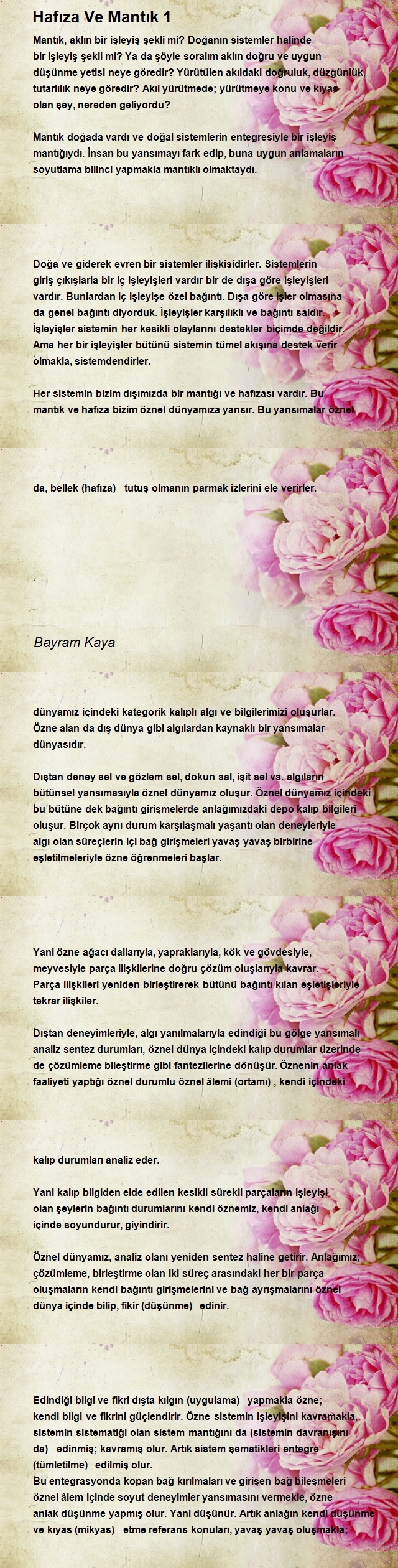 Bayram Kaya