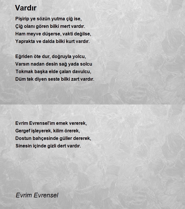 Evrim Evrensel