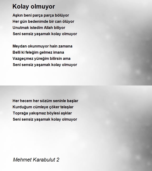 Mehmet Karabulut 2