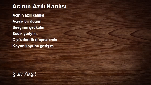 Şule Akşit