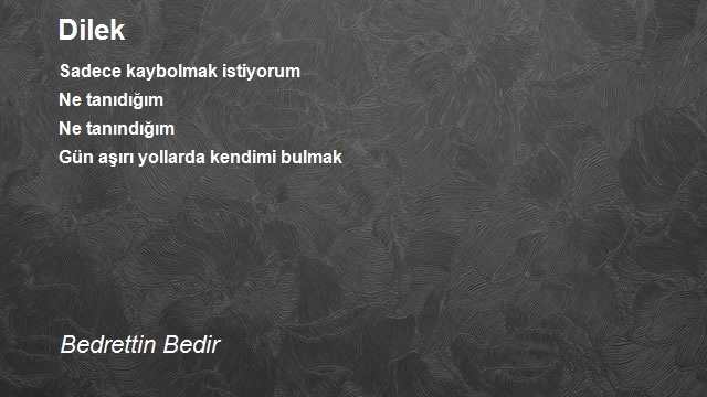 Bedrettin Bedir