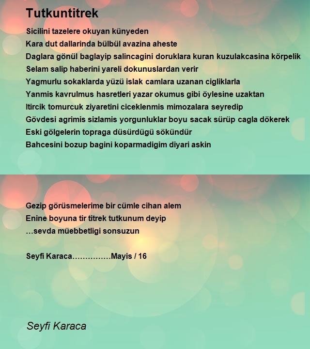 Seyfi Karaca