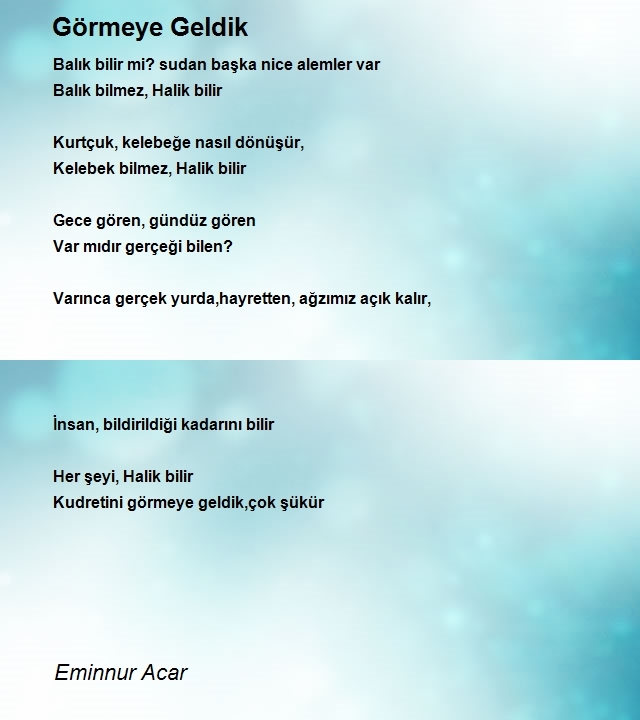 Eminnur Acar