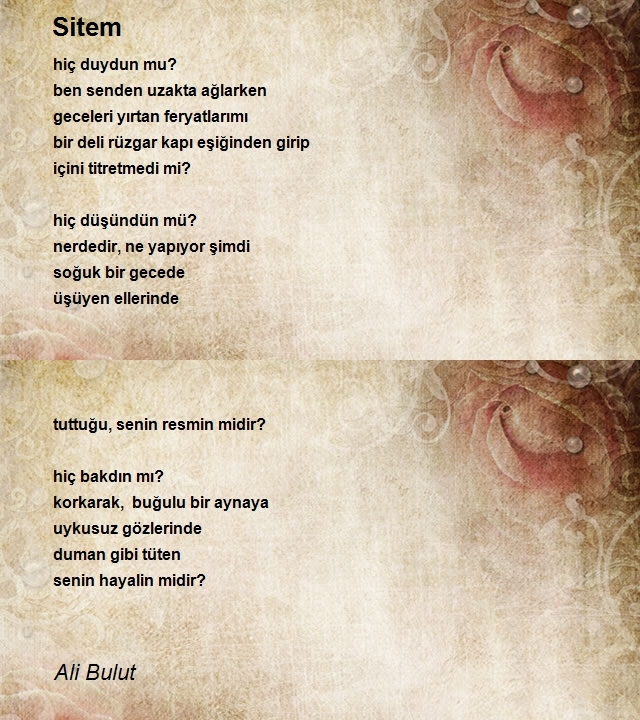 Ali Bulut