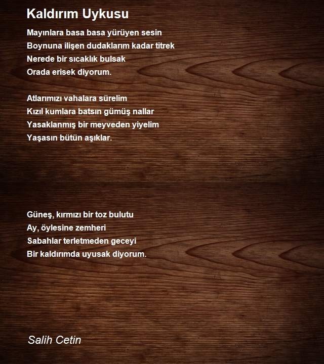 Salih Cetin