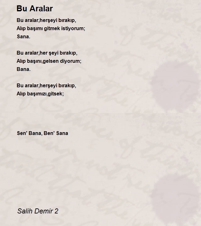 Salih Demir 2