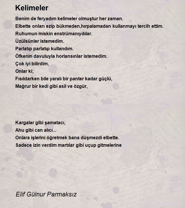 Elif Gülnur Parmaksız