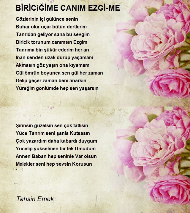 Tahsin Emek