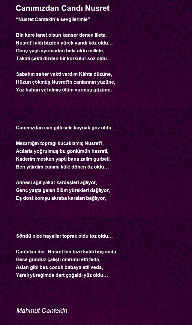 Mahmut Cantekin