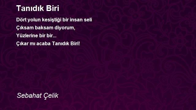 Sebahat Çelik