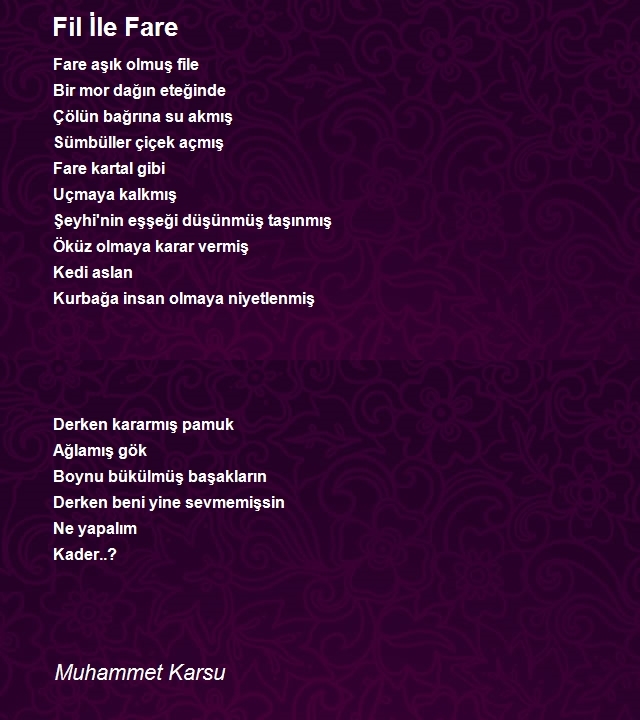 Muhammet Karsu