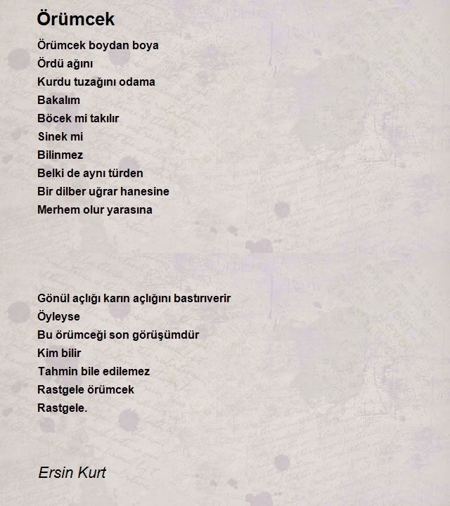 Ersin Kurt