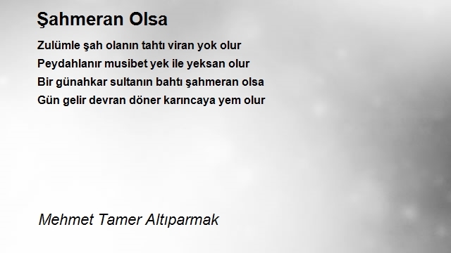 Mehmet Tamer Altıparmak