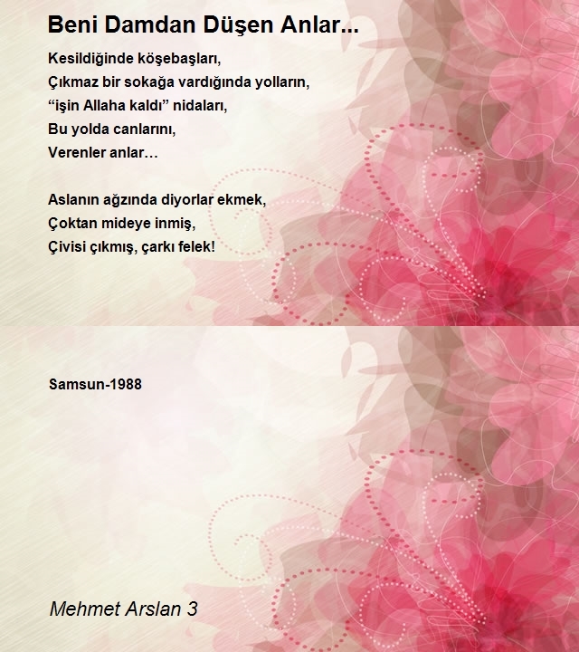 Mehmet Arslan 3