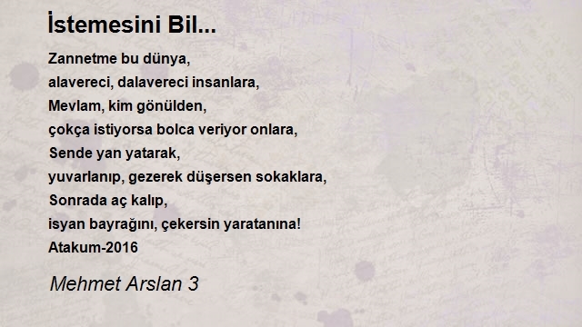 Mehmet Arslan 3