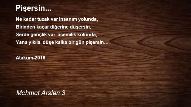 Mehmet Arslan 3