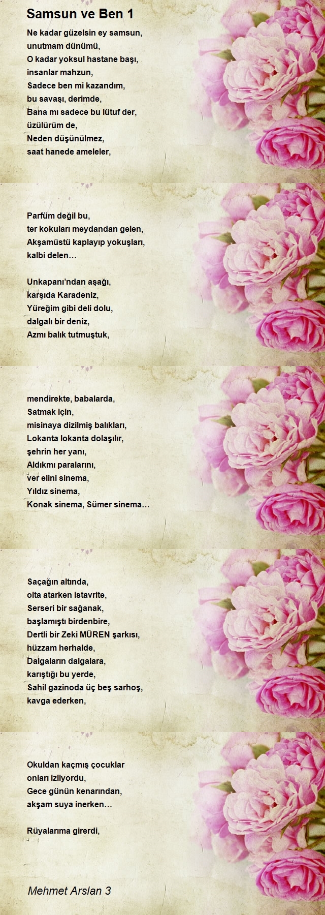 Mehmet Arslan 3