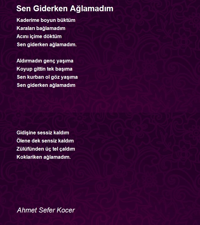 Ahmet Sefer Kocer