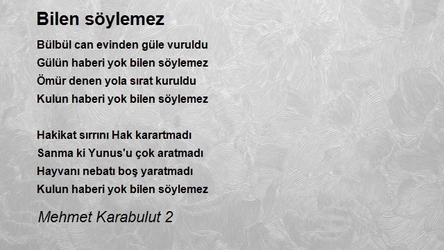 Mehmet Karabulut 2