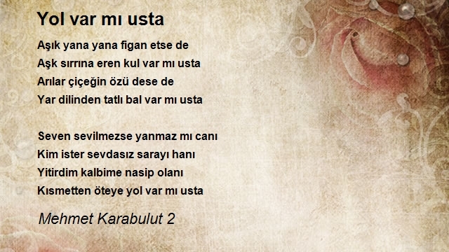 Mehmet Karabulut 2