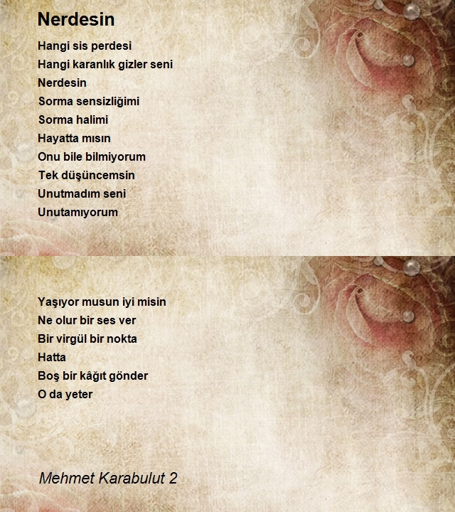 Mehmet Karabulut 2