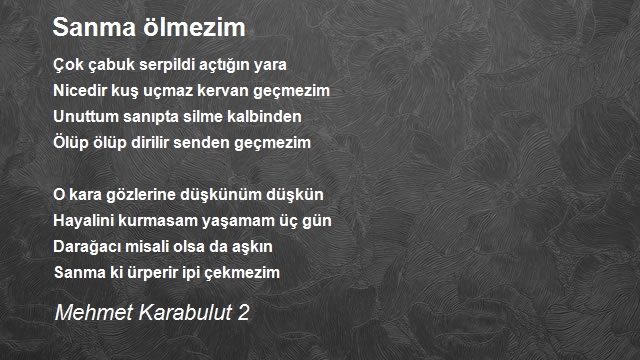 Mehmet Karabulut 2