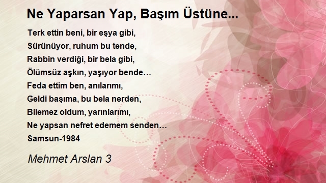 Mehmet Arslan 3