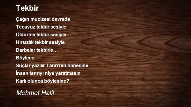 Mehmet Halil