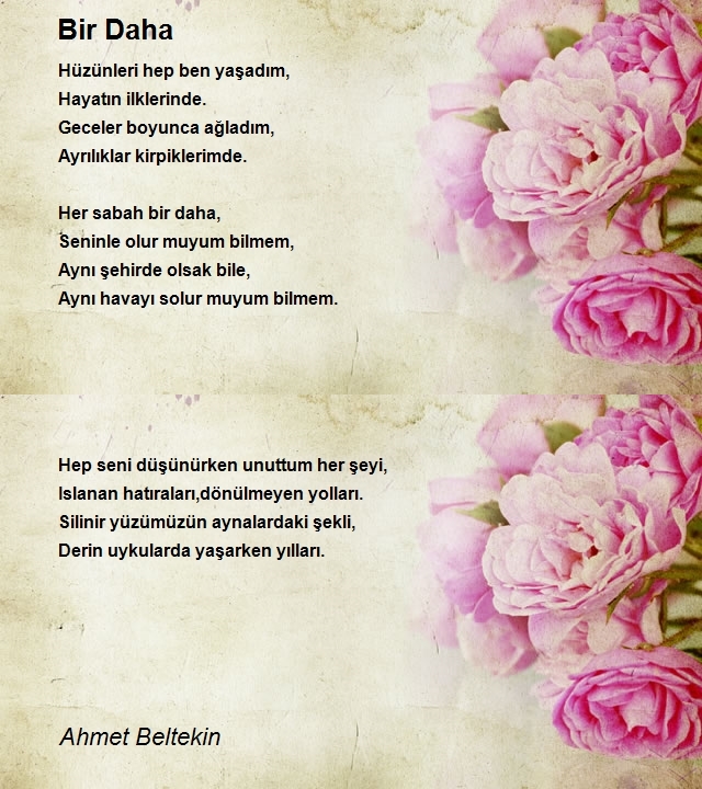 Ahmet Beltekin