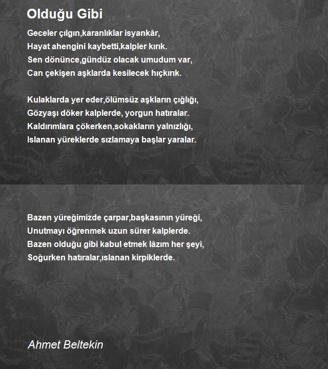 Ahmet Beltekin