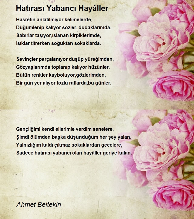 Ahmet Beltekin