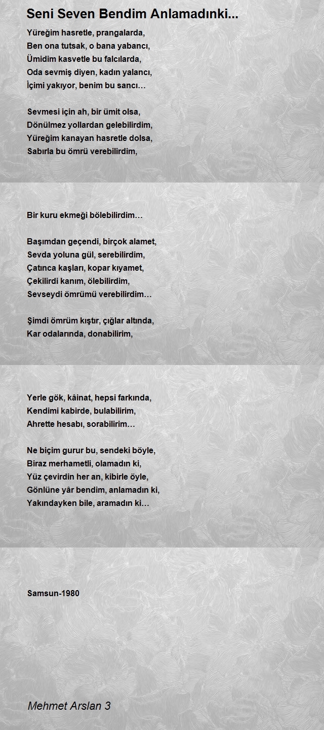 Mehmet Arslan 3