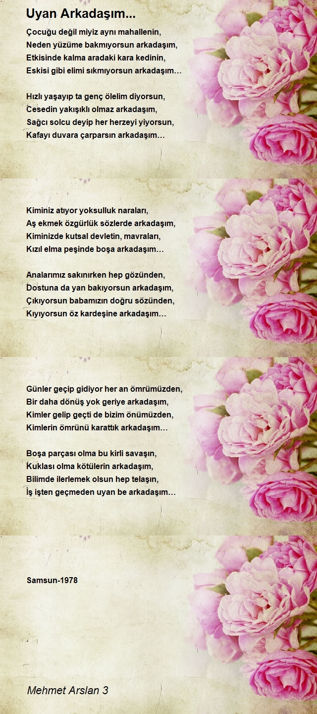 Mehmet Arslan 3