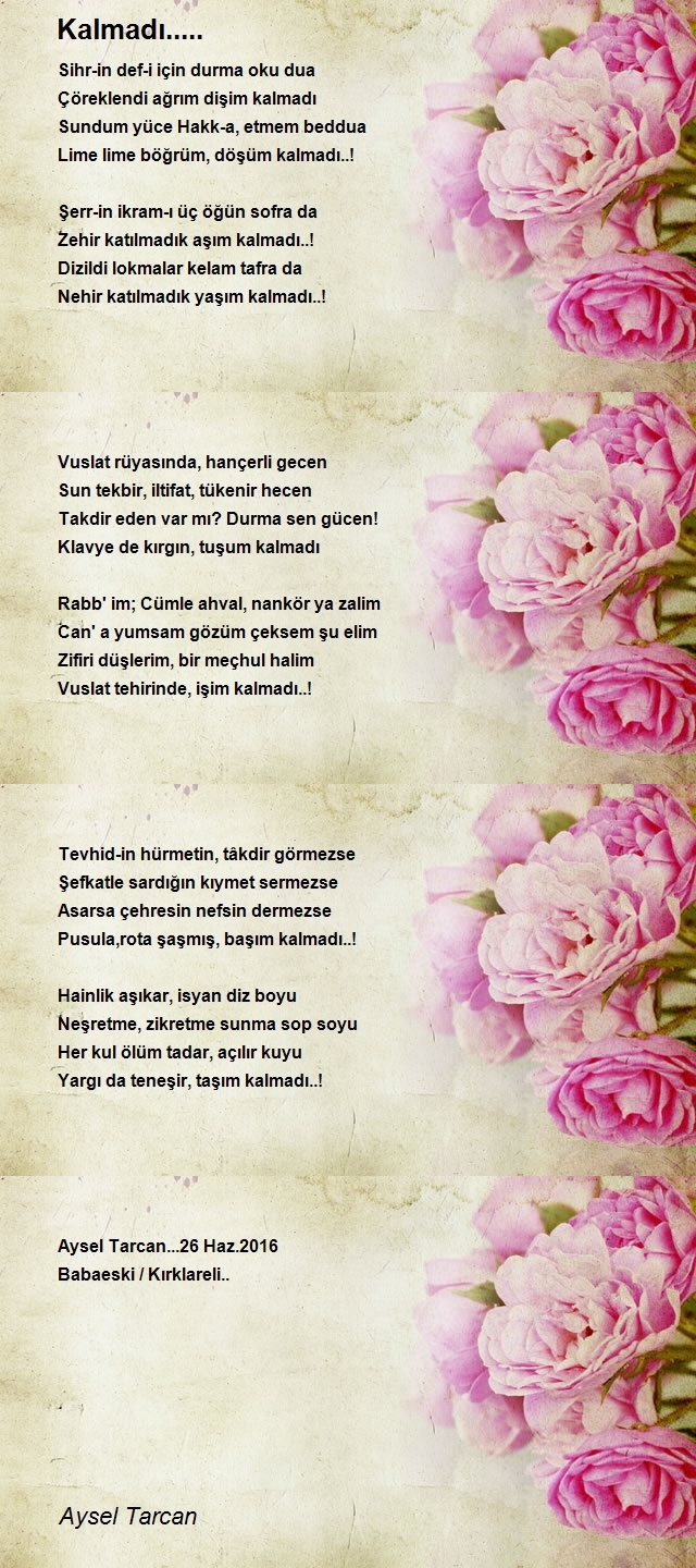 Aysel Tarcan