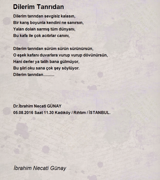 İbrahim Necati Günay