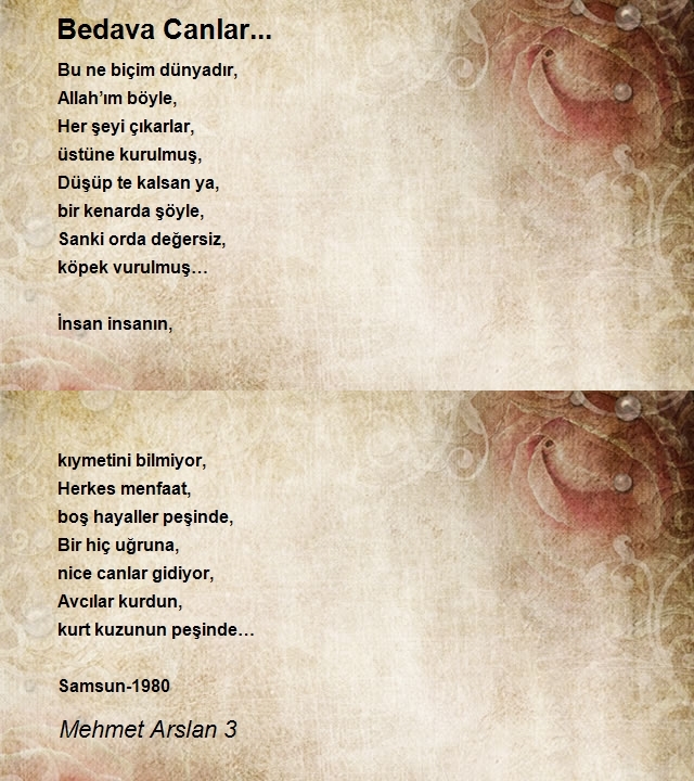 Mehmet Arslan 3