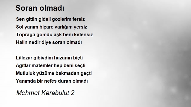 Mehmet Karabulut 2