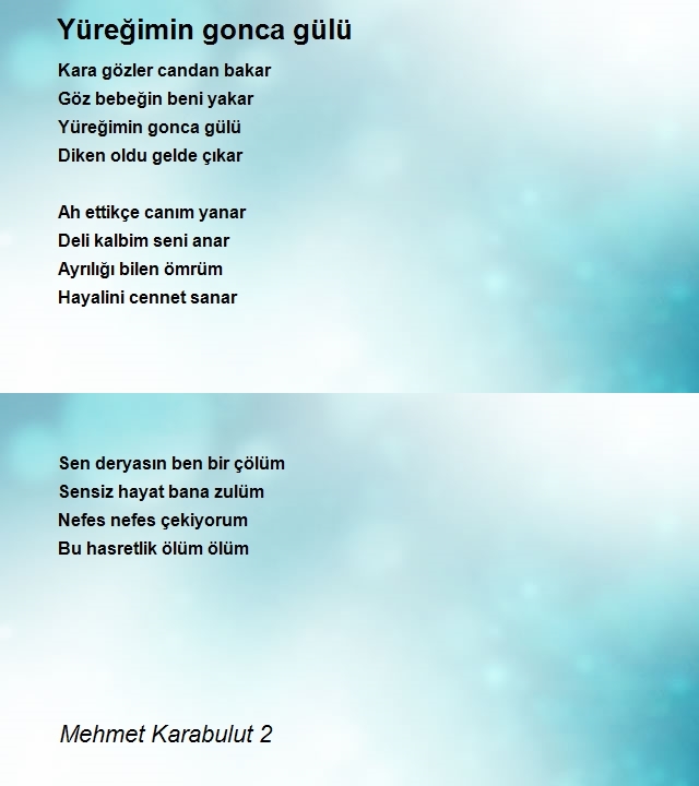 Mehmet Karabulut 2