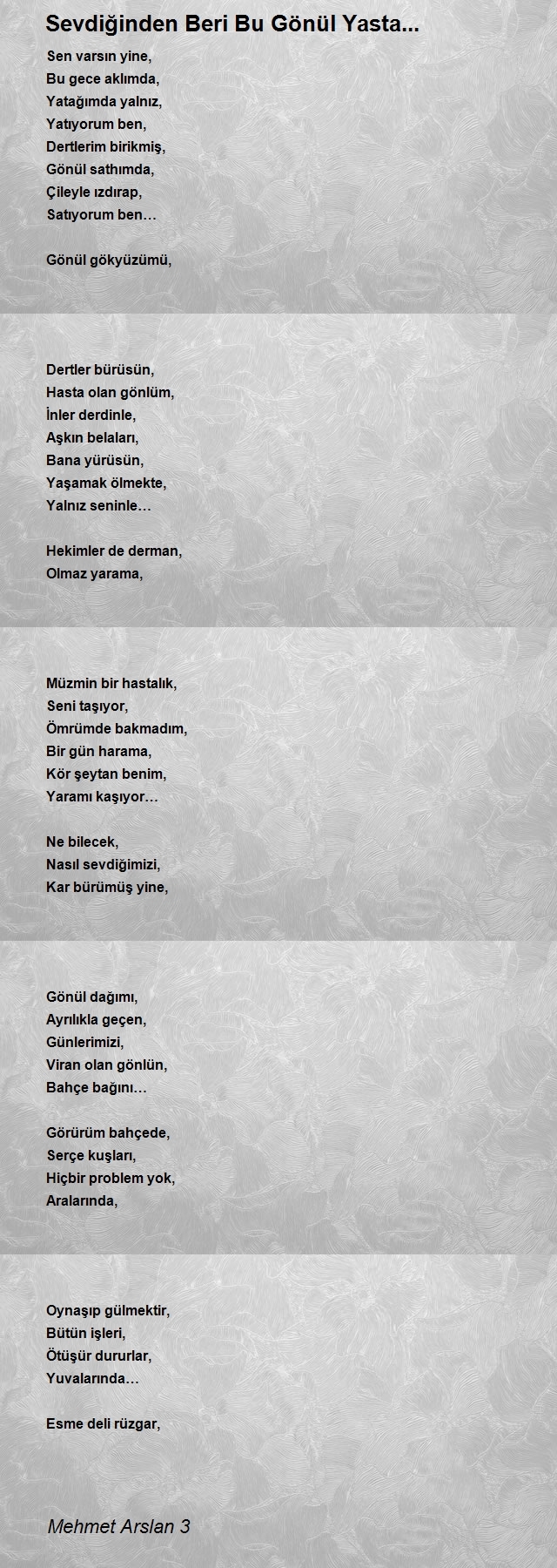 Mehmet Arslan 3