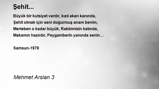 Mehmet Arslan 3