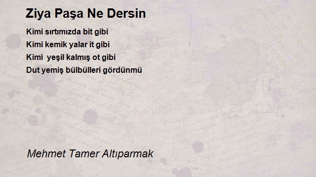 Mehmet Tamer Altıparmak