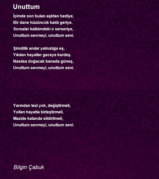 Bilgin Çabuk