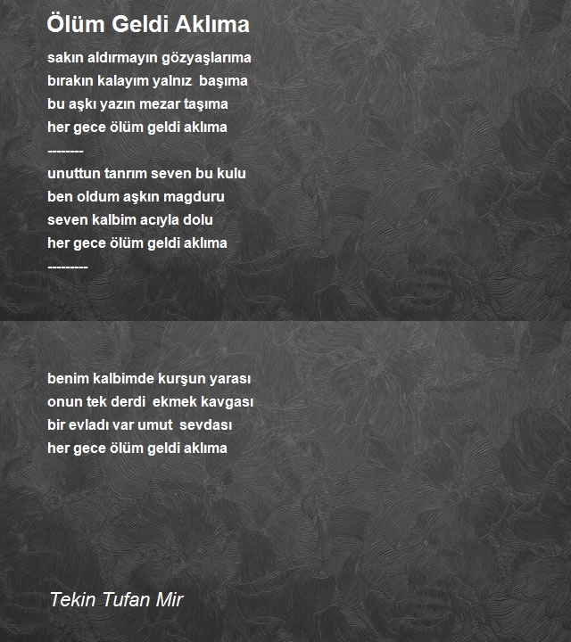 Tekin Tufan Mir